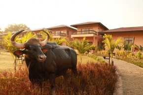 The Pench International